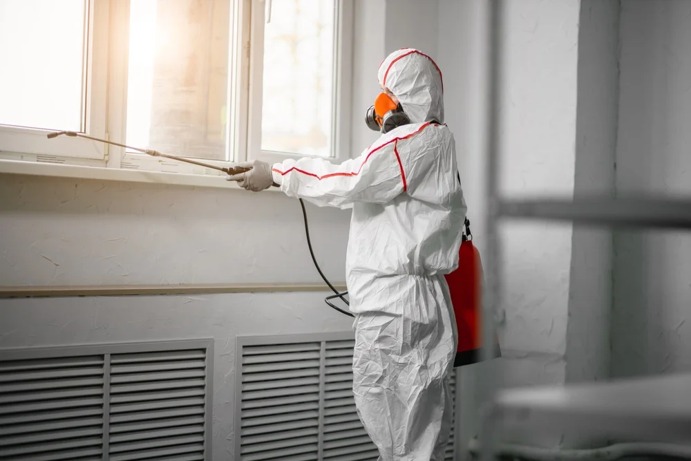 Professional mold remediation services in Monrovia, CA
